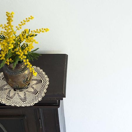 La Villa Nei Fiori Φλωρεντία Εξωτερικό φωτογραφία