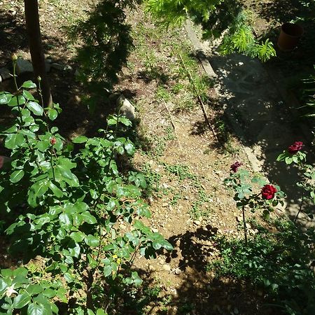 La Villa Nei Fiori Φλωρεντία Εξωτερικό φωτογραφία